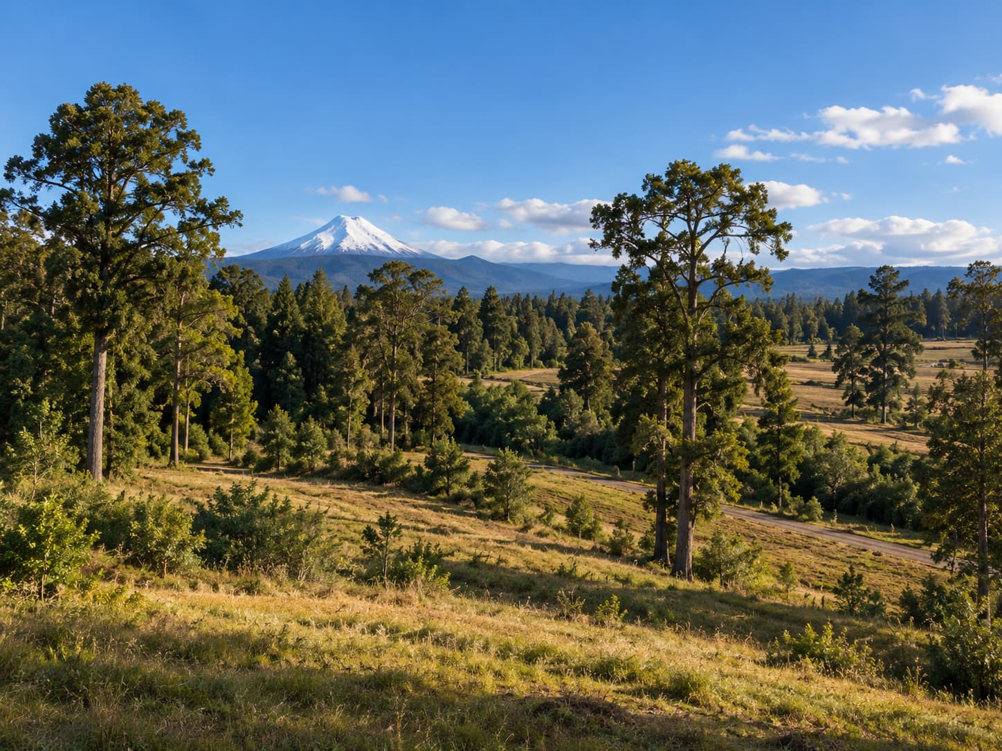 Refugios Del Río - bosque y ladera